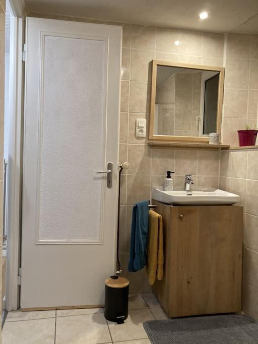 Villa Le Berger Du Salzbach Romanswiller Esterno foto